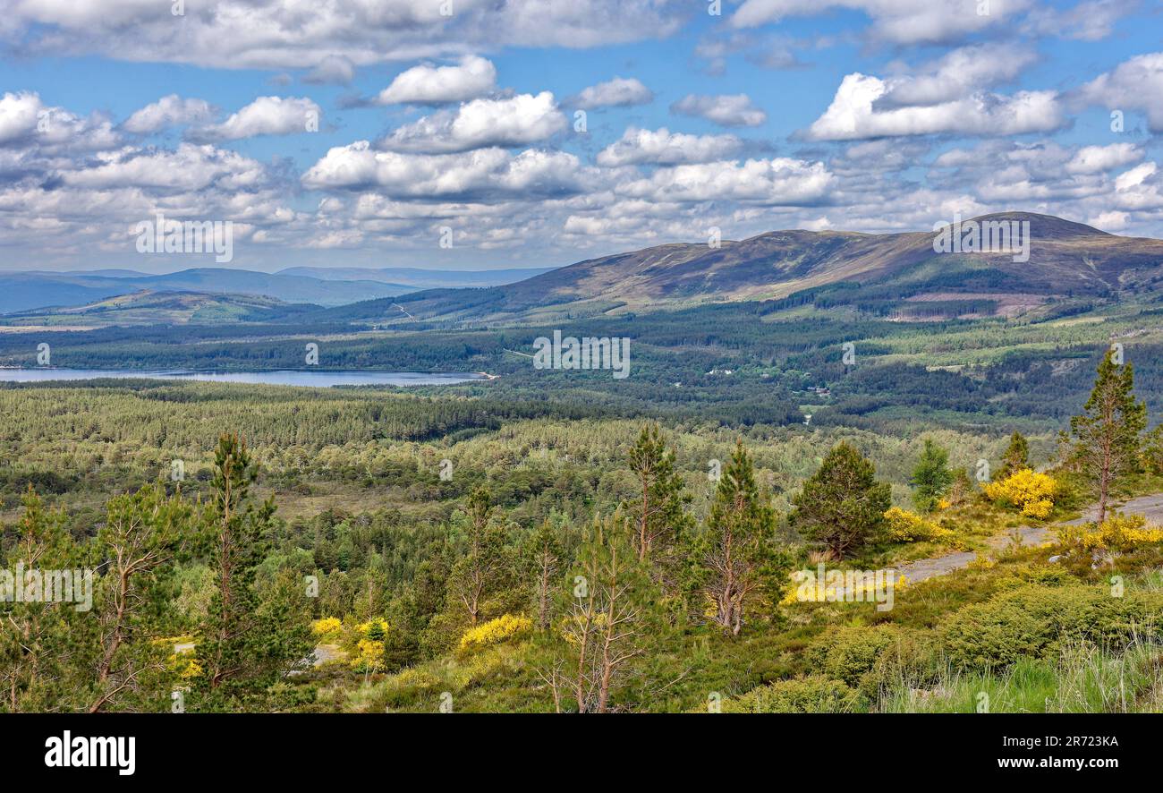 Aviemore Schottland Frühsommer der Blick vom Cairngorm Mountain über Loch Morlich und Glenmore Wald Stockfoto