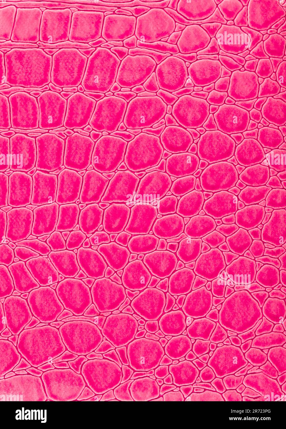 Die abstrakte Textur der imitierten Krokodilhaut-Draufsicht. Rosafarbener vertikaler Texturhintergrund. Glänzendes Reptil-Textil, Stoffdesign. Rosafarbenes, glänzendes Krokodil Stockfoto