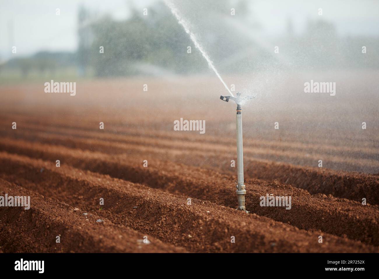 Landwirtschaftliche Bewässerungsgeräte, die Wasser auf trockene Feilen sprühen. Themen Dürre, Umwelt und Landwirtschaft. Stockfoto