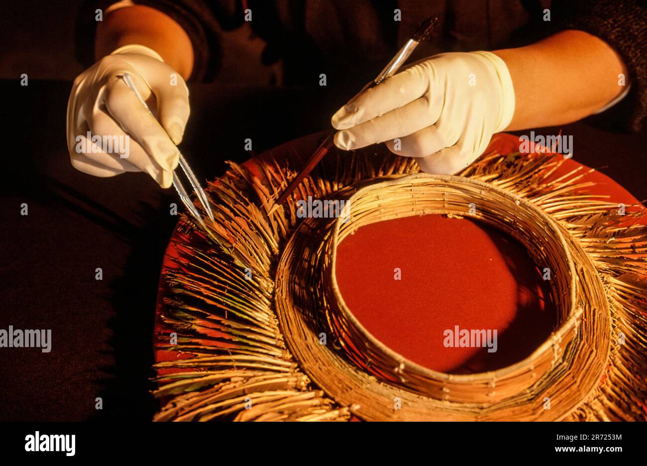 Perù Leymebamba die Restaurierung eines Papageienfederkopfes im Labor des Zentrums Mallqui in Leymebamba - 1997 aus dem Laguna de los Condores (Condor-See) zurückgewonnen. Stockfoto