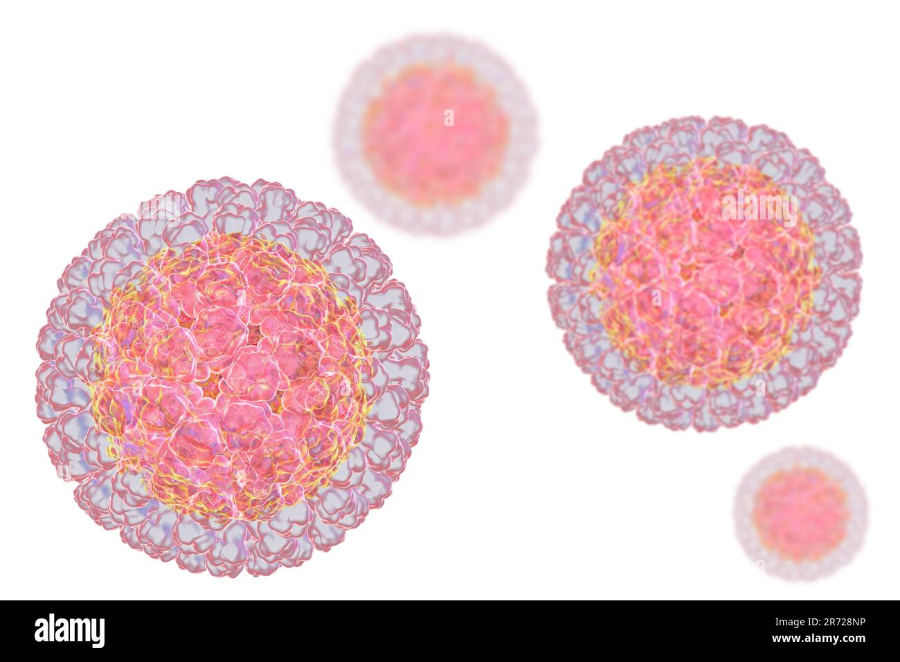 Rotavirus-Partikel, Computergrafiken. Das Viruspartikel besteht aus einem RNA-Kern (Ribonukleinsäure), der von einem dreischichtigen Kapsid umgeben ist. Rotaviren Stockfoto