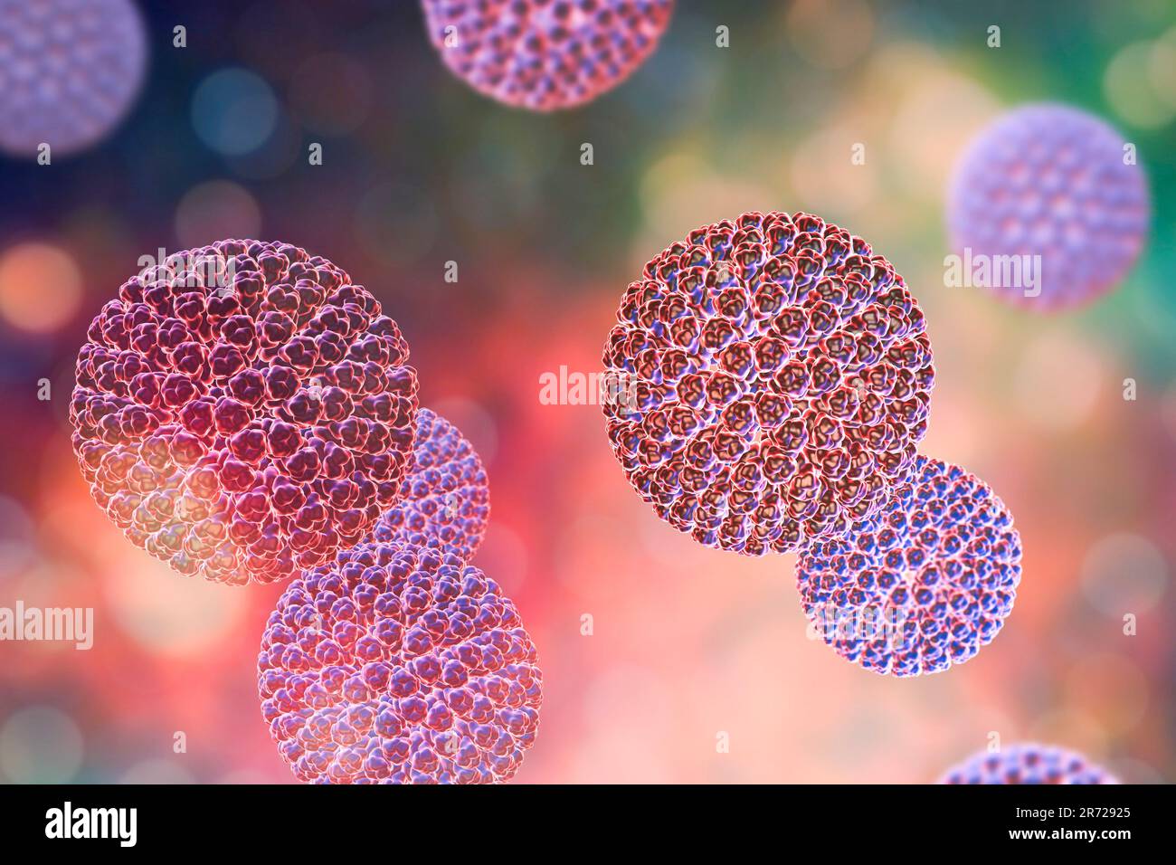 Rotaviruspartikel, Computergrafiken. Das Viruspartikel besteht aus einem RNA-Kern (Ribonukleinsäure), der von einem dreischichtigen Kapsid umgeben ist. Rotaviruse Stockfoto