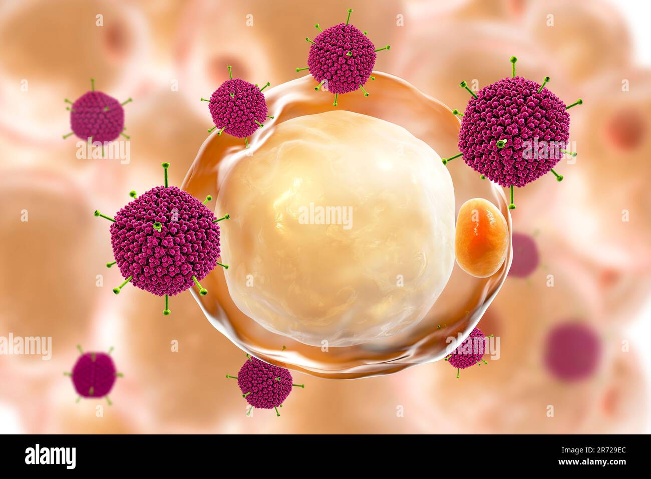 Proteomik forschung Fotos und Bildmaterial in hoher Auflösung Alamy