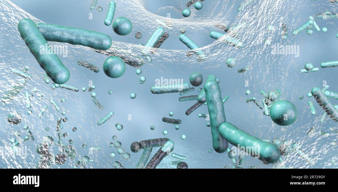 Sphärische Bakterien und stabförmige Bakterien im Biofilm, Abbildung. Ein Biofilm ist eine Bakterienkolonie, die eine Beschichtung auf einer Oberfläche bildet. Gemeinsame p Stockfoto