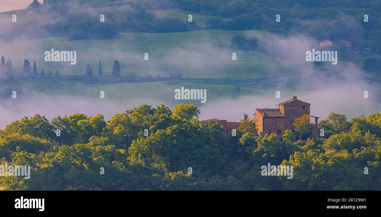 Ein herrlicher Morgen mit Nebel einer Landschaft in der Toskana mit den berühmten Zypressen im warmen Morgenlicht. Das Foto wurde in Val d'Orcia in Zen aufgenommen Stockfoto