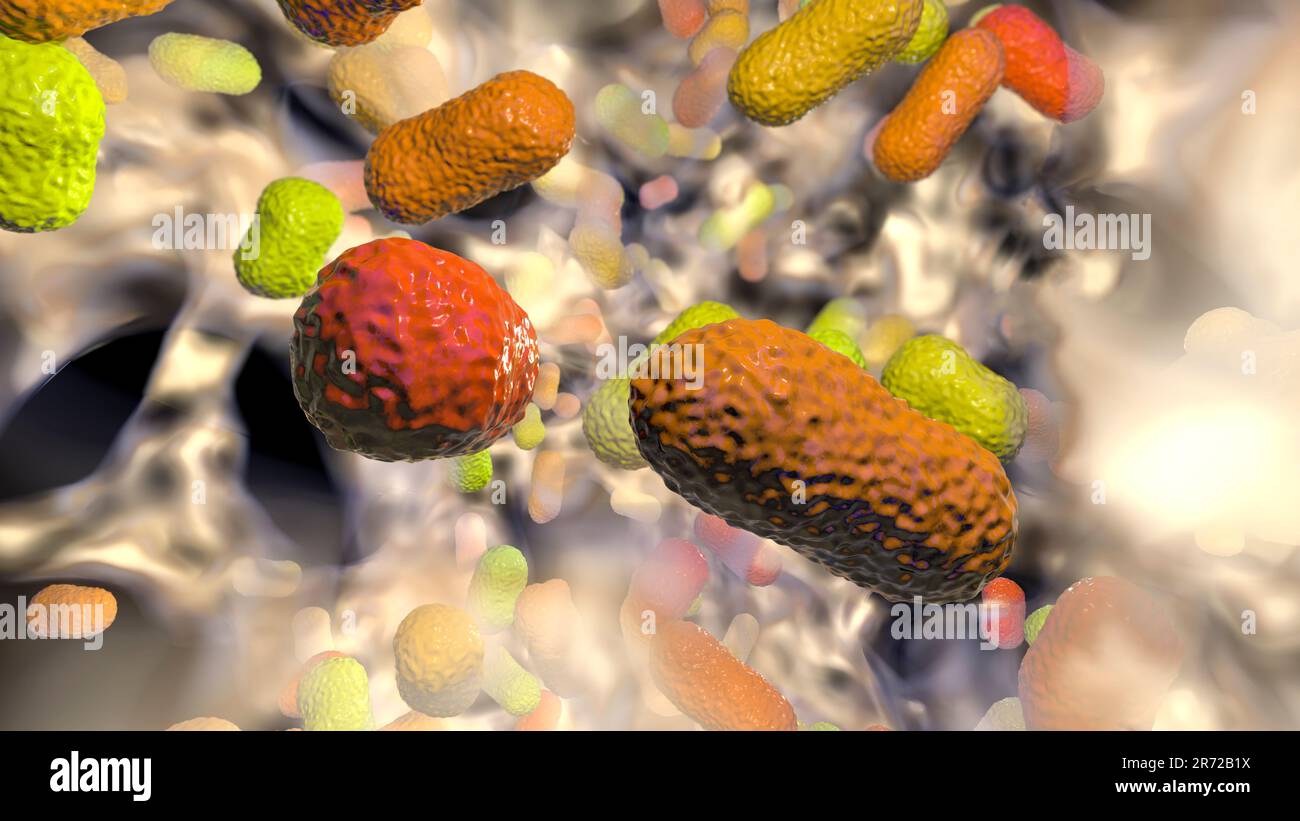Multiresistente Acinetobacter baumannii Bakterien im Biofilm, Computerabbildung. A. baumannii ist ein Gram-negativ, Oxidase negativ, Aerobi Stockfoto