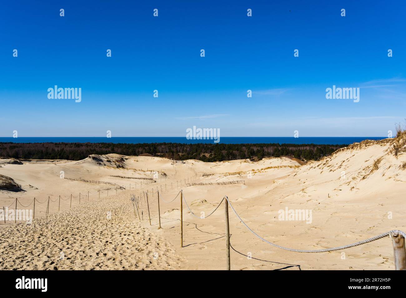 Die Gray Dunes, oder die Dead Dunes, sind sandige Hügel mit ein paar grünen Flecken auf der litauischen Seite der Kurischen Nehrung. Stockfoto