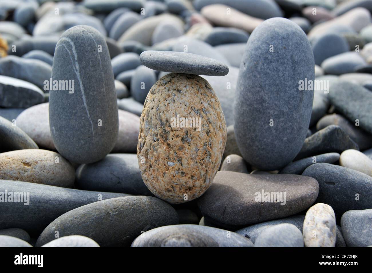 Drei ovale Kieselsteine an einem felsigen Strand. Nahaufnahme. Ein flacher Stein balanciert sich auf einem ovalen Kiesel. Stockfoto