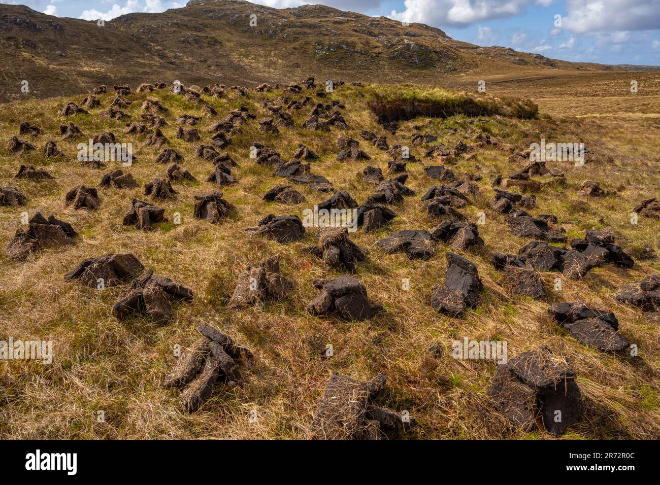 Torfzerspanung für Brennstoff auf der Insel Lewis. Stockfoto