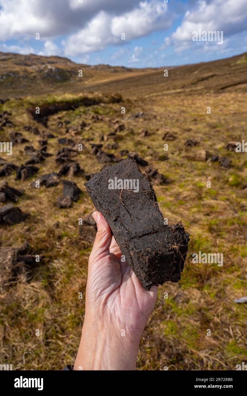Torfzerspanung für Brennstoff auf der Insel Lewis. Stockfoto