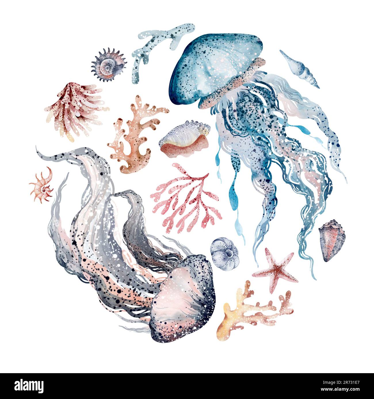 Aquarelle Illustrationen von Meerestieren Tintenfisch, Seepferdchen, Krabben, Seesterne, Quallen. Das Meeresleben in einer runden Illustration. Postkarte, Aufkleber, s entwerfen Stockfoto