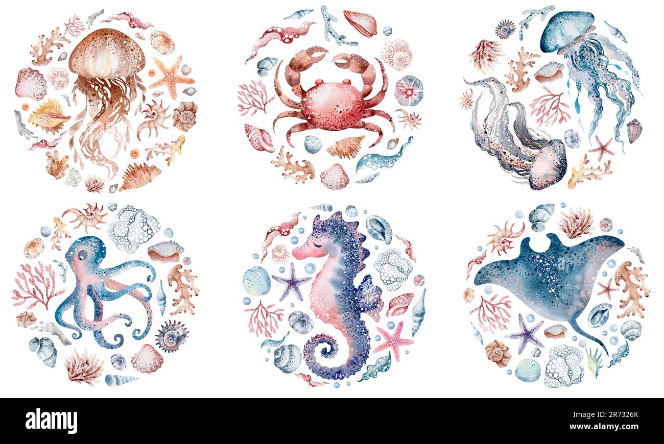 Aquarelle Illustrationen von Meerestieren Tintenfisch, Seepferdchen, Krabben, Seesterne, Quallen. Das Meeresleben in einer runden Illustration. Postkarte, Aufkleber, s entwerfen Stockfoto