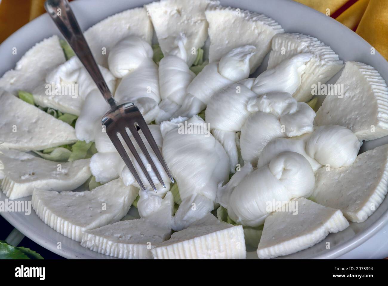 Ein Tablett mit Knoten, eine Art Apulianischer Mozzarella und Primokäse. Milchprodukte, Käse Stockfoto