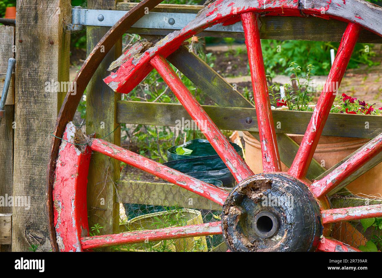 Gebrochenes rotes Rad mit Speichen und Metallrahmen Stockfoto