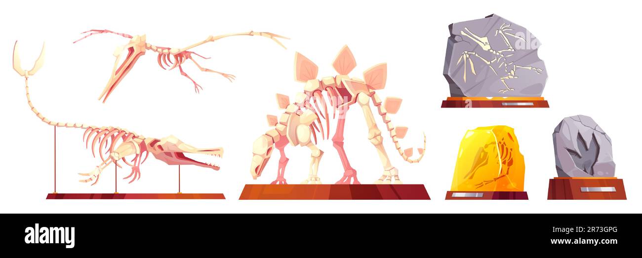 Fossil-Triceratops und Pterodactyl-Vektorskelett auf Podestpaläontologie-Cartoon-Vektorsymbolset. Abbildung des Fußabdrucks von Museum-Dinosauriern aus Stein. Isolierter Grabschädel mit Knochenklipart-Sammlung Stock Vektor Fossil-Triceratops und Pterodactyl-Vektorskelett auf Podestpaläontologie-Cartoon-Vektorsymbolset. Abbildung des Fußabdrucks von Museum-Dinosauriern aus Stein. Isolierter Grabschädel mit Knochenklipart-Sammlung Stock Vektor
