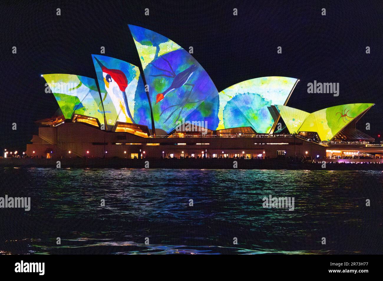 VIVID Sydney 2023. Lichtshow und Beleuchtung der Segel des Opernhauses im Hafen von Sydney. Stockfoto