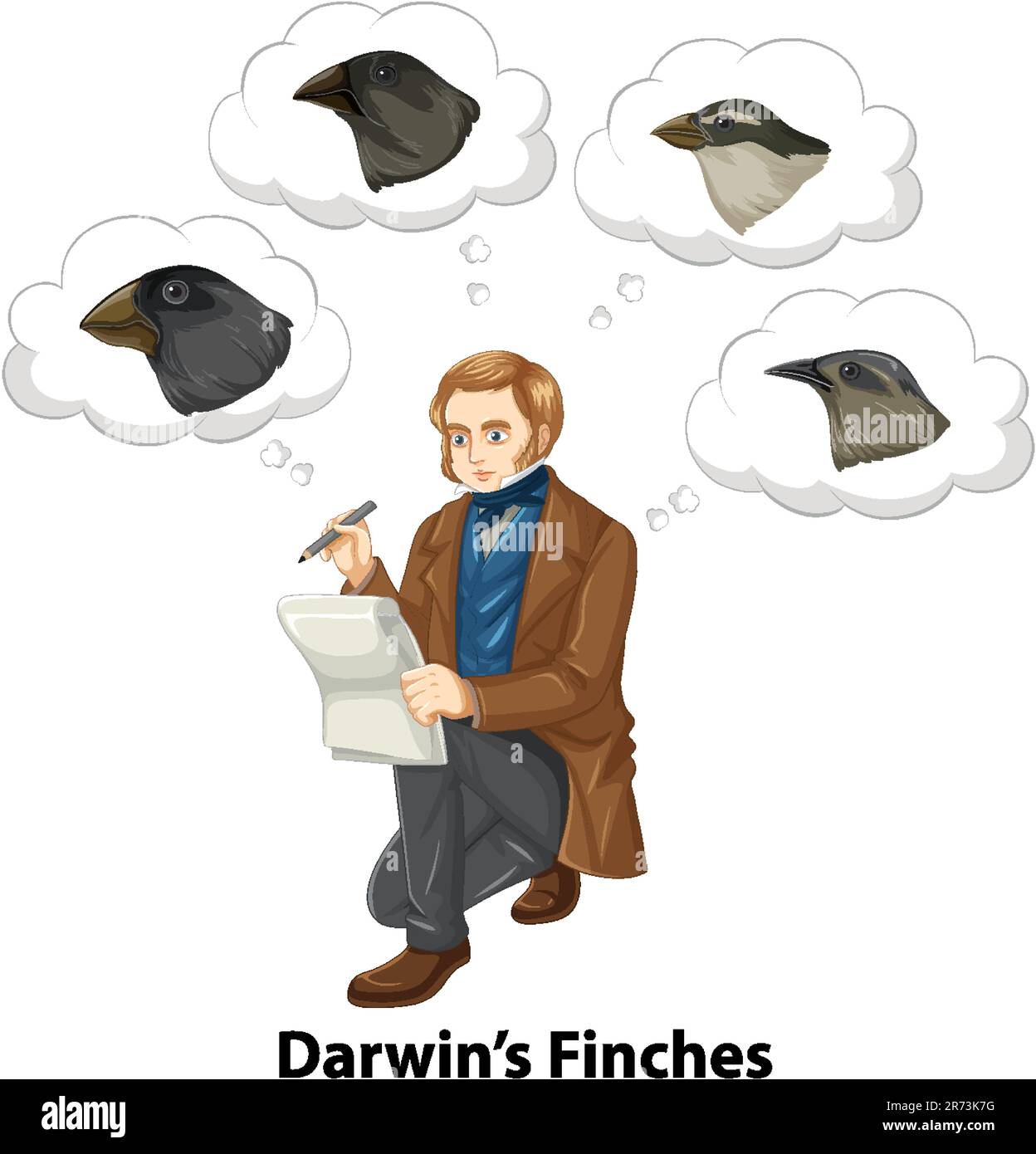 Charles Darwin denkt an die Illustration von Finken-Vögeln Stock Vektor