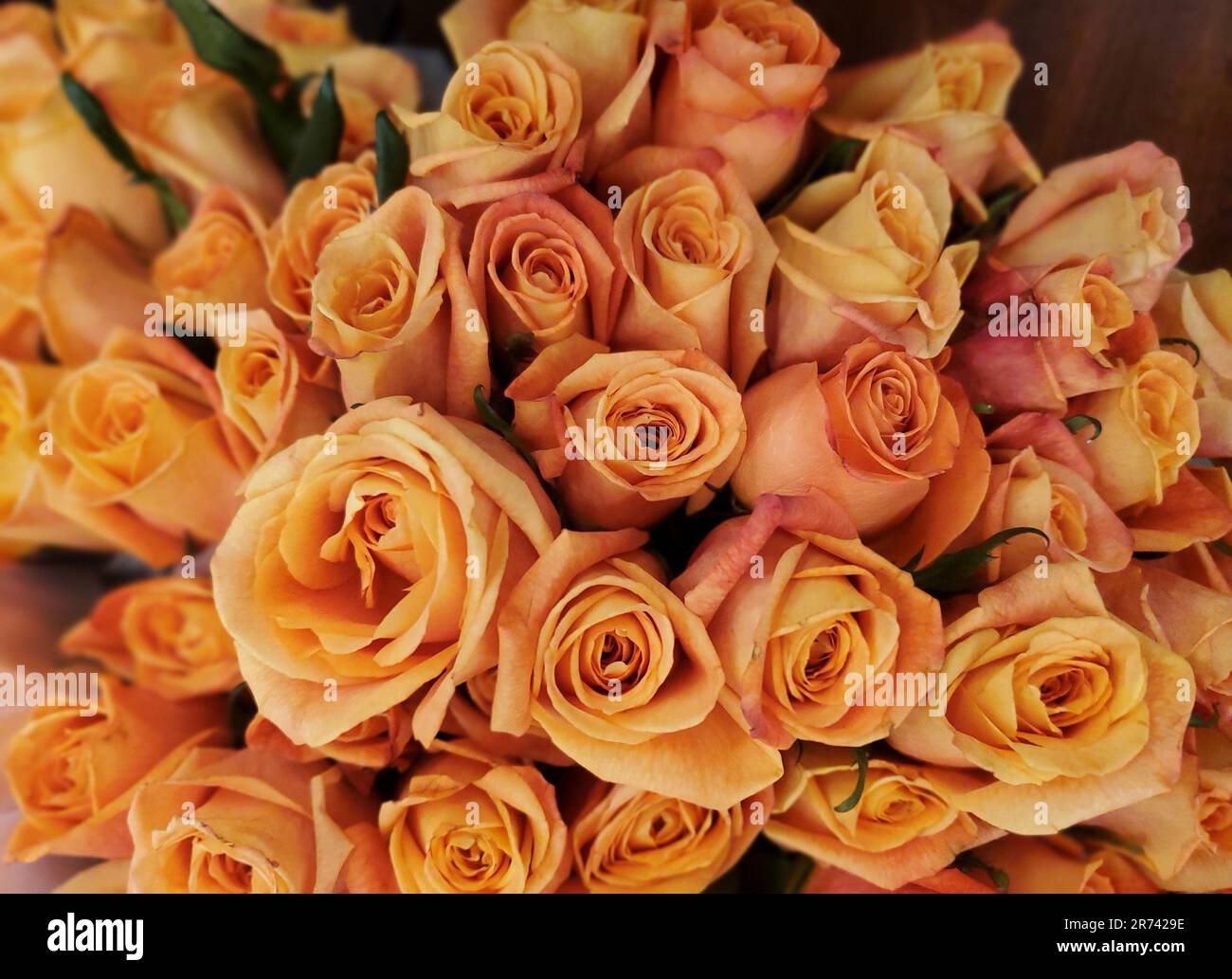 Wunderschöner Strauß von hellen orangefarbenen Rosenblumen Stockfoto