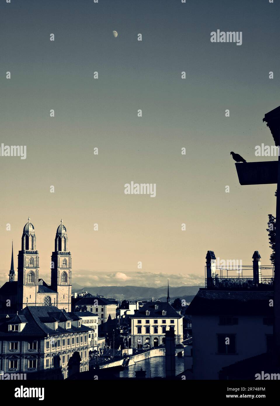 Friedlicher Schwarzweißblick vom Lindenhof - Zürich, Schweiz Stockfoto