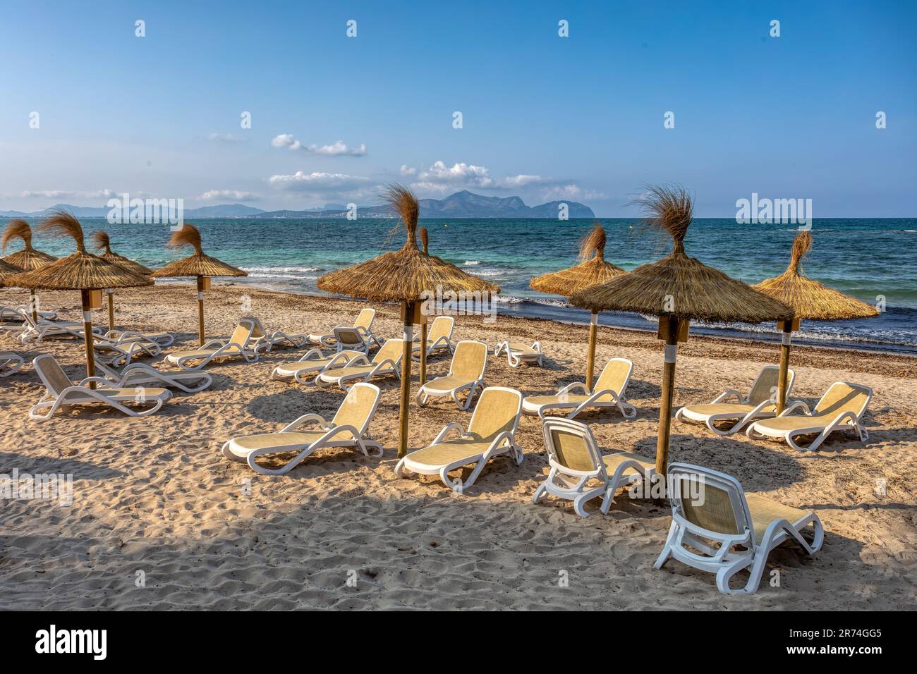Can Picafort Beach mit Strohschirmen und Sonnenliegen, morgens ohne Leute, am türkisfarbenen Meer. Can Picafort, Balearen Mallorca S. Stockfoto