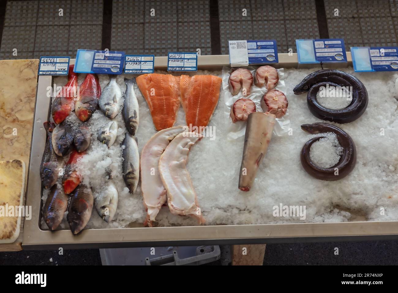 Editorial: FUNCHAL, MADEIRA, PORTUGAL, 30. MAI 2023 - Darstellung von Thunfisch, Meeraal, Dornhai, Lachs, Wolfsbarsch, Goldbrasse und Rasen auf dem Farmer Stockfoto