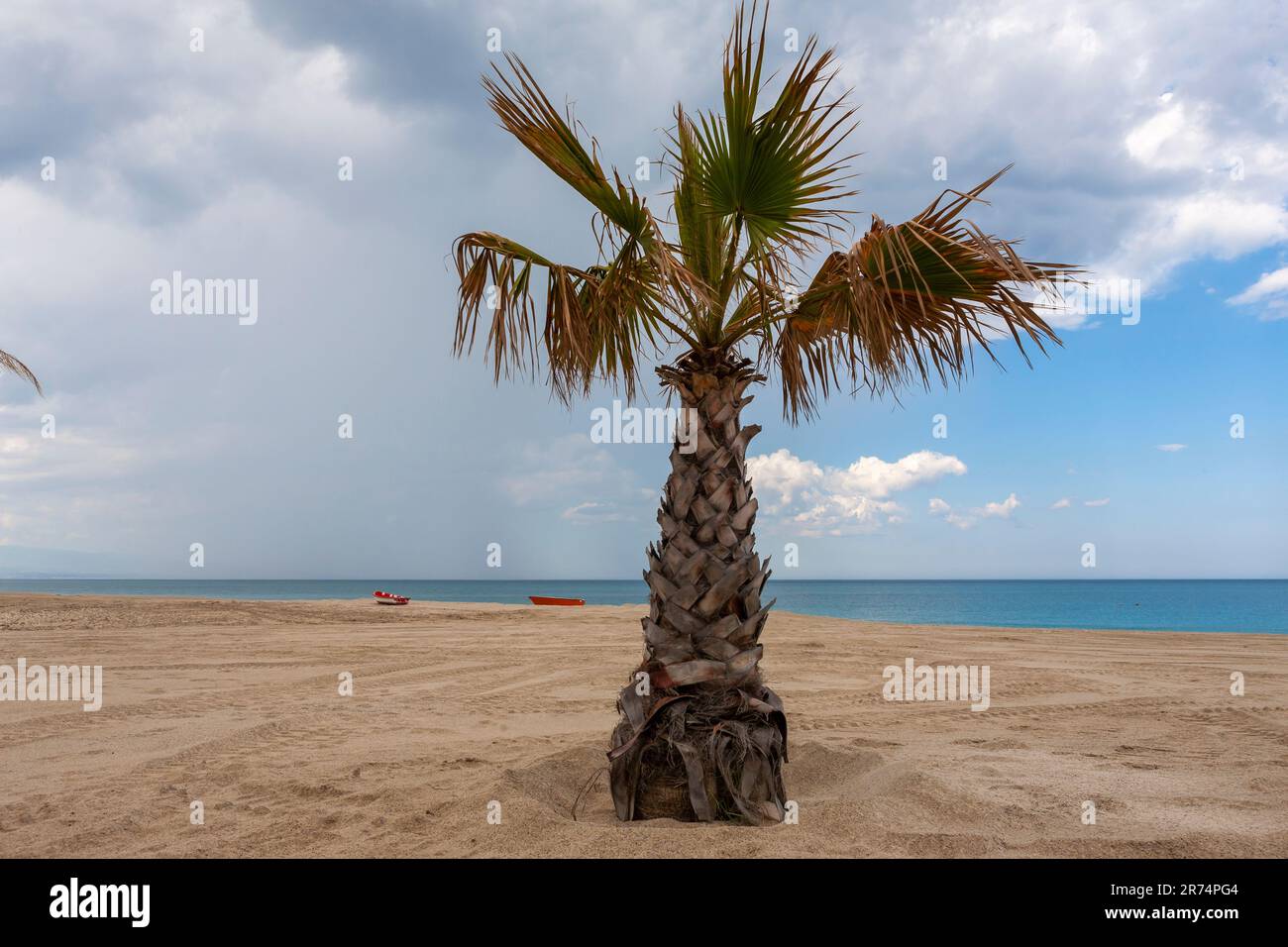 Ein verlassener Strand mit zwei Booten und einer einsamen Palme am Jachthafen San Sostene, Provinz Catanzaro, Kalabrien, Italien Stockfoto