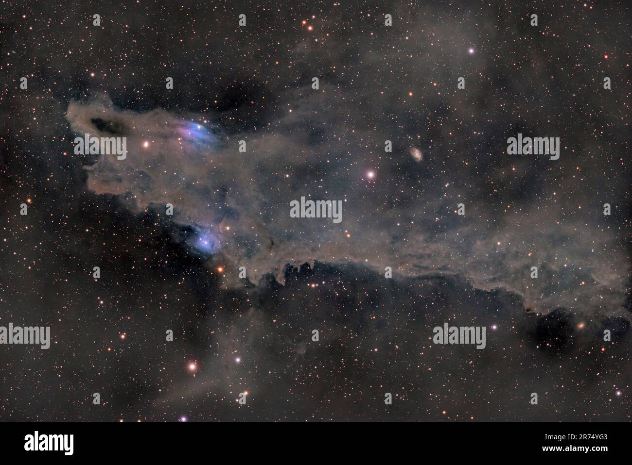 LND 1235 - der dunkle Hai-Nebel Stockfoto
