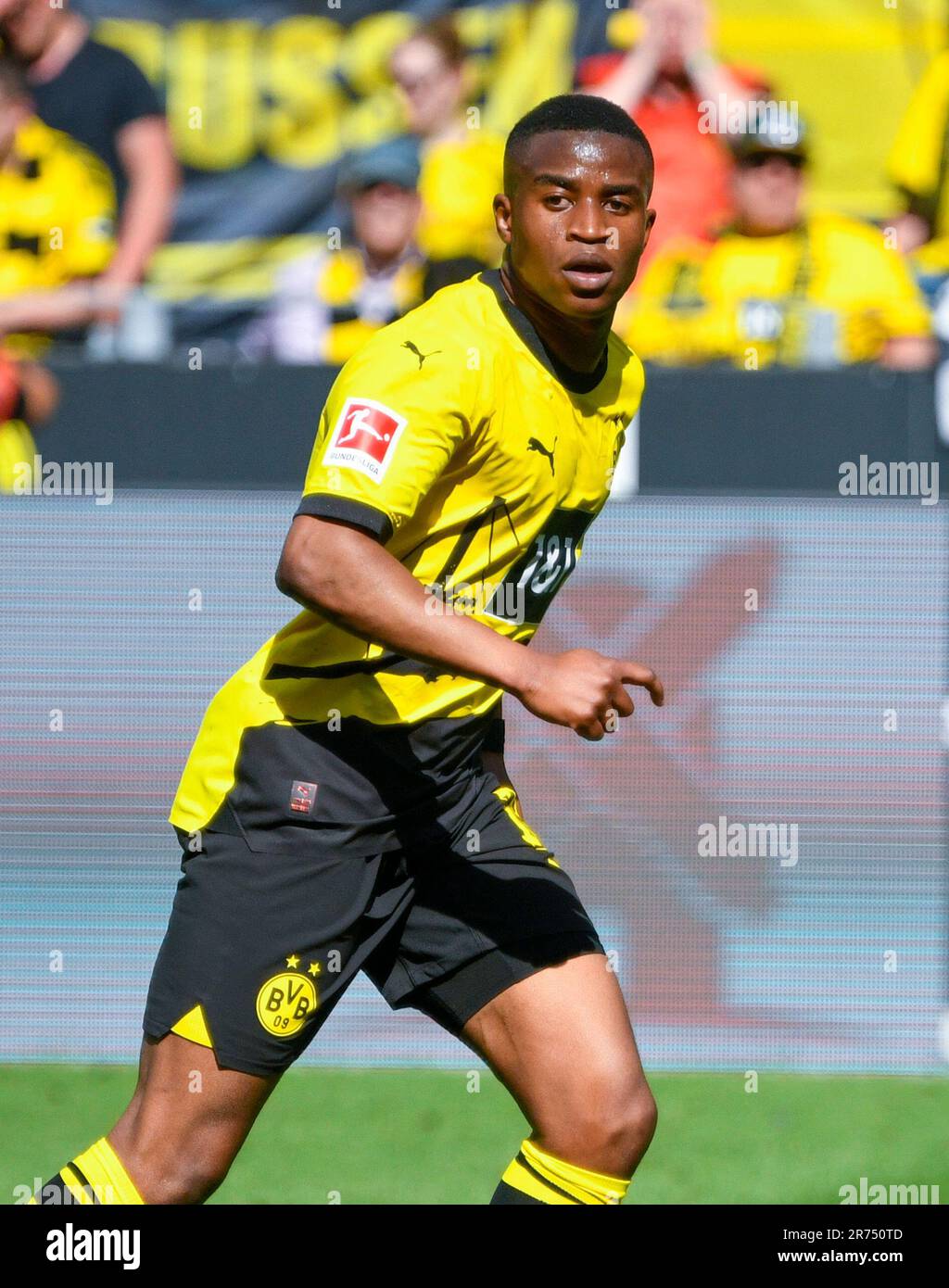 Signal Iduna Park Dortmund Deutschland, 27,5.2023, Fußball: Bundesliga Saison 2022/23 Match Day 34, Borussia Dortmund (BVB) vs Mainz 05 (M05) — Youssoufa Moukoko (BVB) Stockfoto