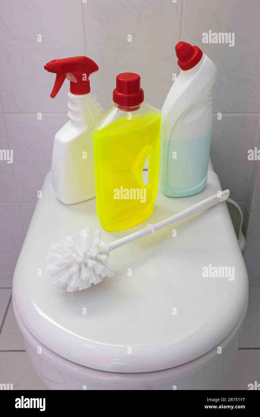 Toilettenreinigung, Toilettendeckel, verschiedene Toilettenreinigungsprodukte, Stockfoto
