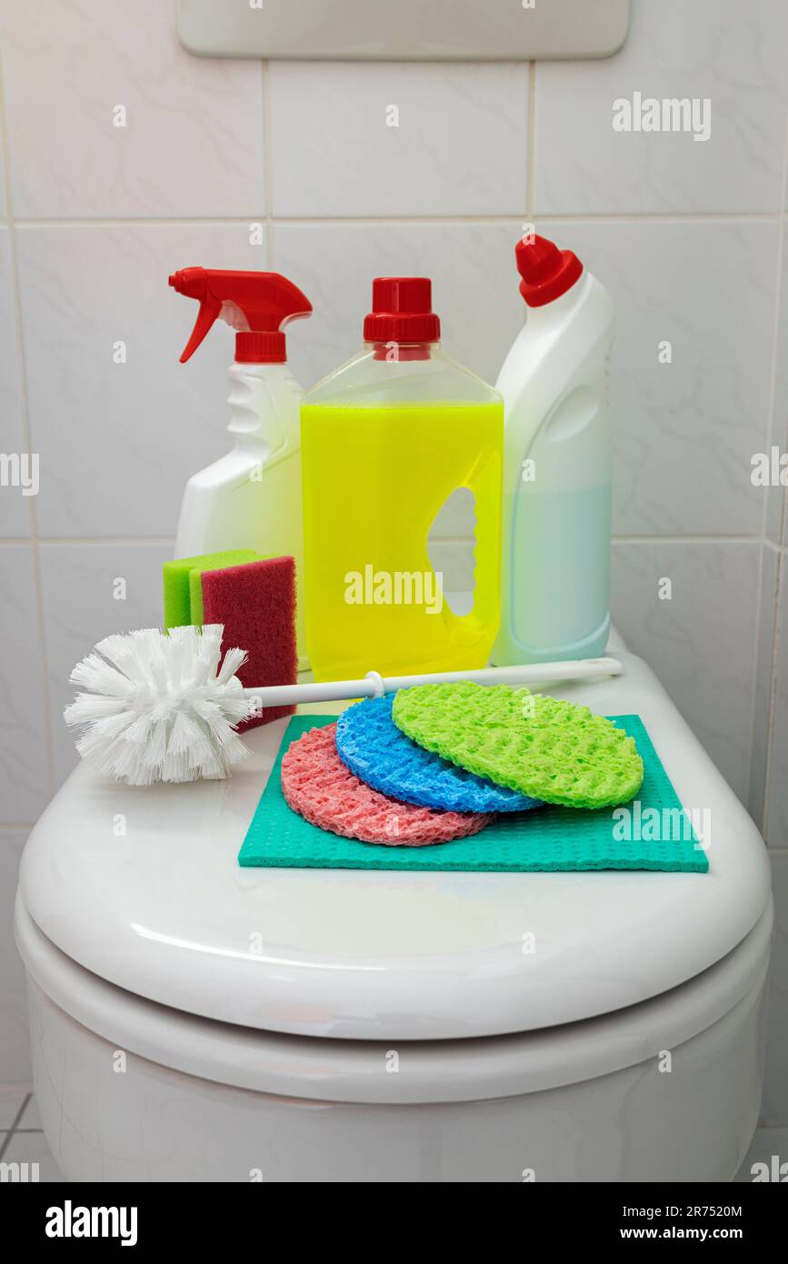 Toilettenreinigung, Toilettendeckel, verschiedene Toilettenreinigungsprodukte, Stockfoto