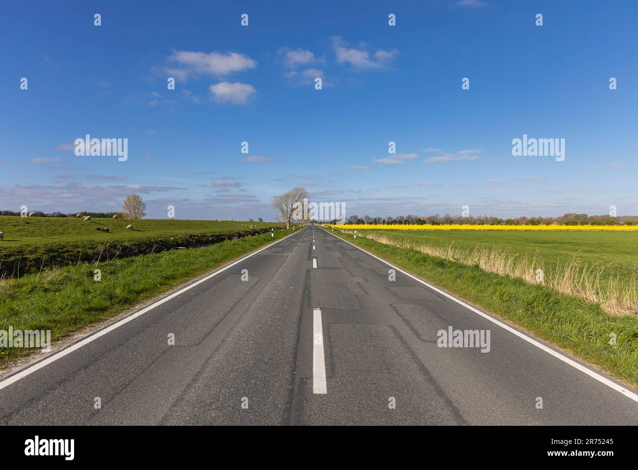 Greetsieler Straße, in der Nähe von Greetsiel, Ostfriesien, Niedersachsen, Stockfoto