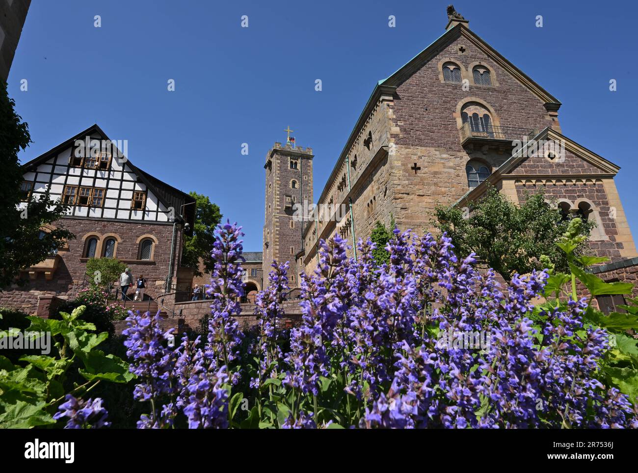 Eisenach, Deutschland. 12. Juni 2023. Blumen blühen im Innenhof der Wartburg. Die Sonderausstellung "Wartburg-Mythos". 10 Questions to the Ideal Castle“ wird am 13. Juni eröffnet und bis zum 07. Januar 2024 ausgestellt. 1999 wurde die Wartburg als erstes und einziges Schloss Deutschlands von der UNESCO zum Weltkulturerbe erklärt. Mit der Ausstellung soll erforscht werden, warum die Wartburg so stark im öffentlichen Bewusstsein verankert ist und wie dieses reiche historische und kulturelle Erbe auch in Zukunft einen Einfluss haben kann. Kredit: Martin Schutt/dpa/Alamy Live News Stockfoto