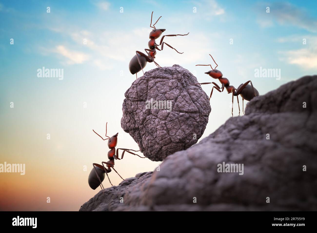 Ameisen schieben schweren Felsbrocken auf den Hügel. Teamwork-Konzept. Gerenderte 3D-Abbildung. Stockfoto