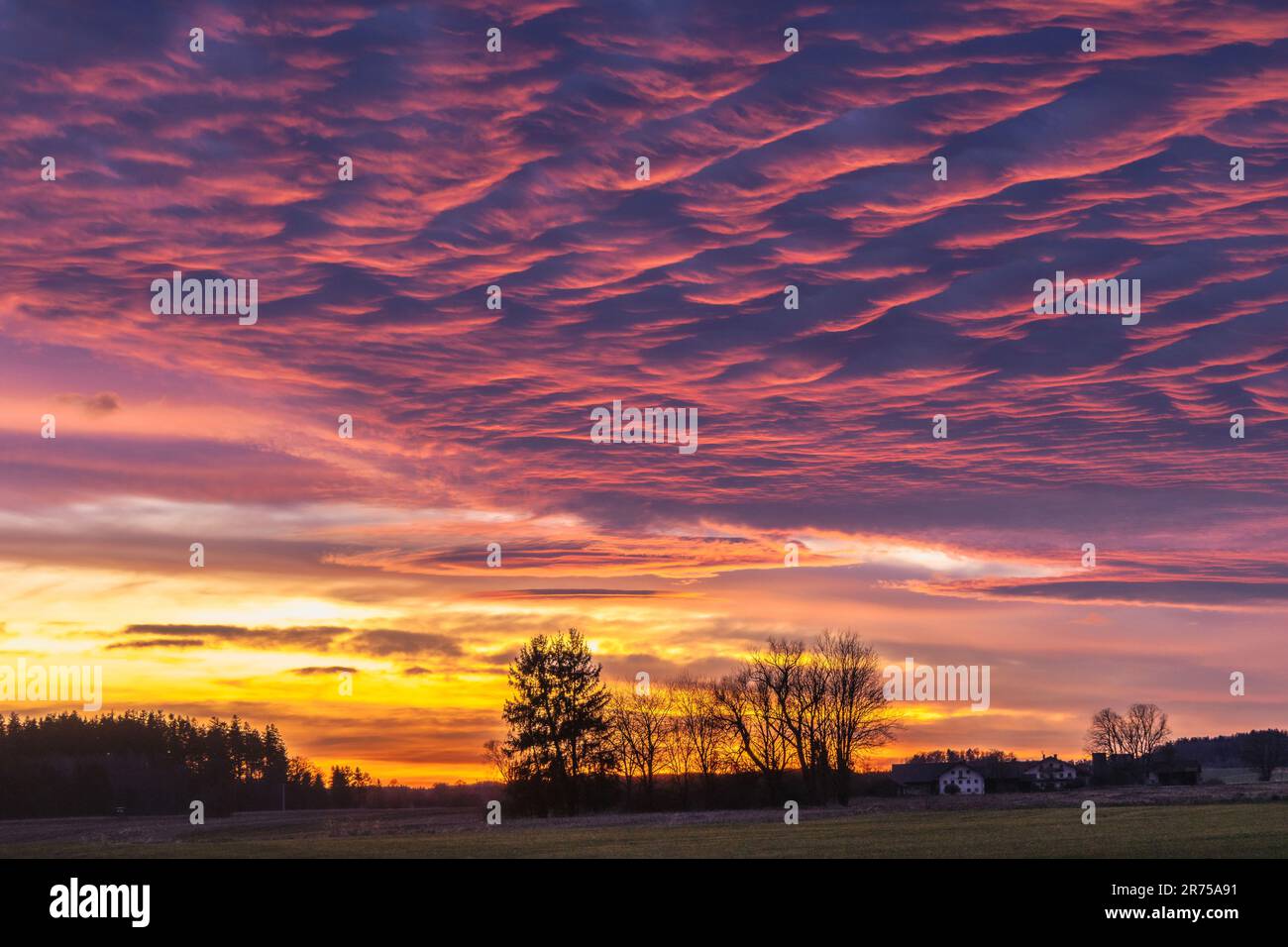 Kräftiges Abendrot, die Sonne erleuchtet die Unterseite der Stratocumuluswolken, Deutschland, Bayern Stockfoto
