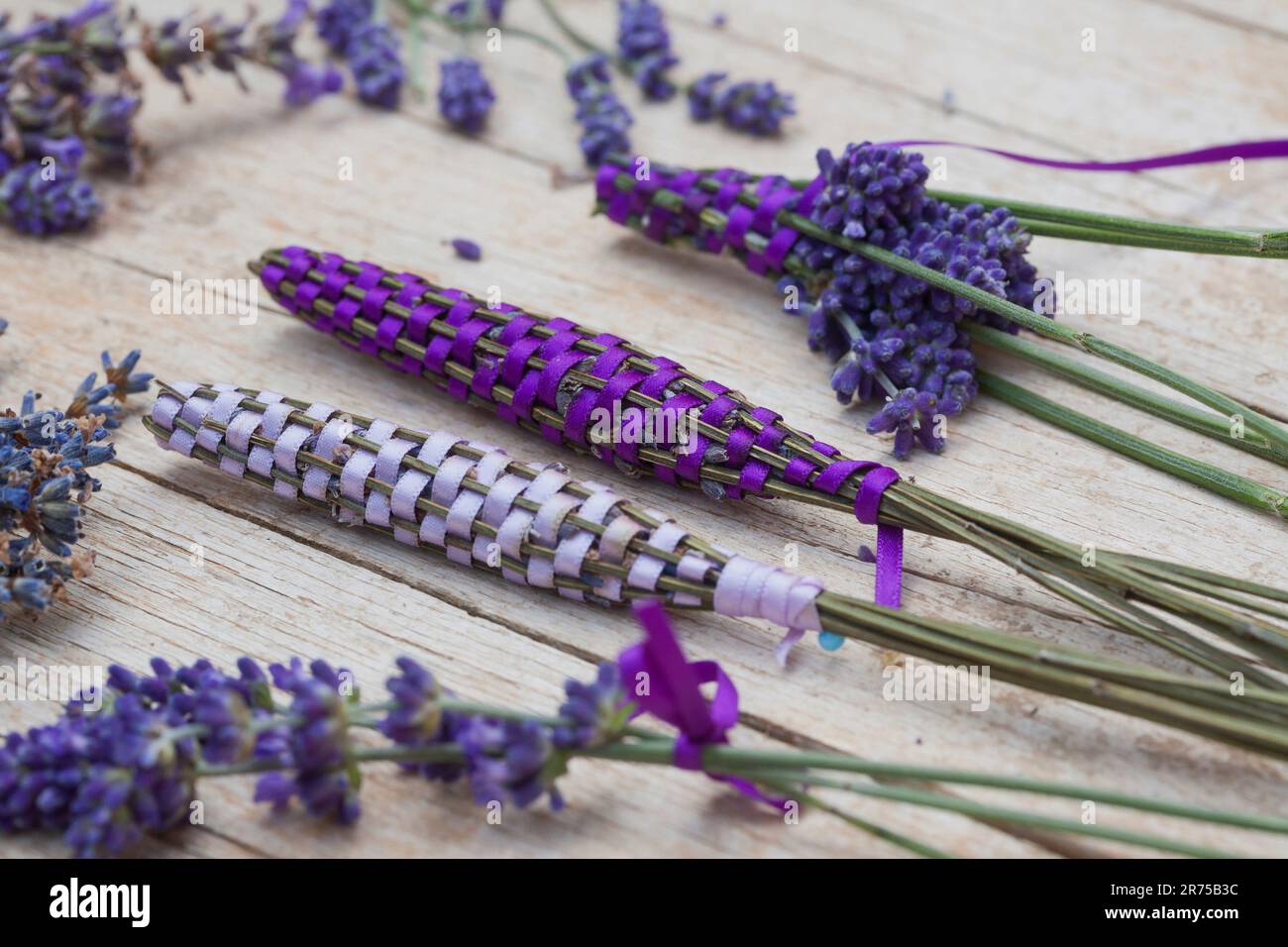 Englischer Lavendel (Lavandula angustifolia, Lavandula officinalis), Lavendelstangen, frischer Lavendel mit Satinband für Leinenschrank Stockfoto