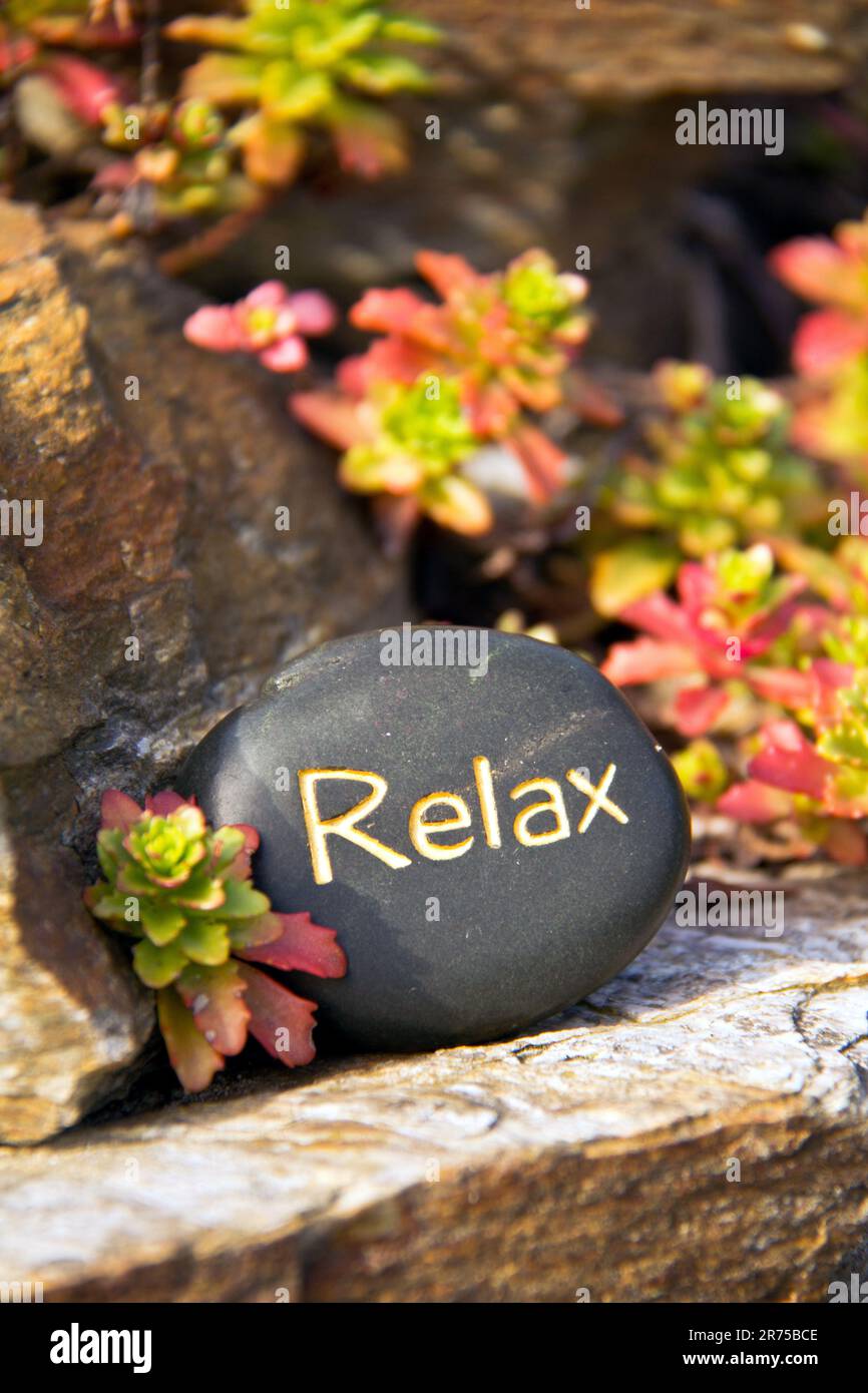 Massagestein mit dem Wort RELAX Stockfoto