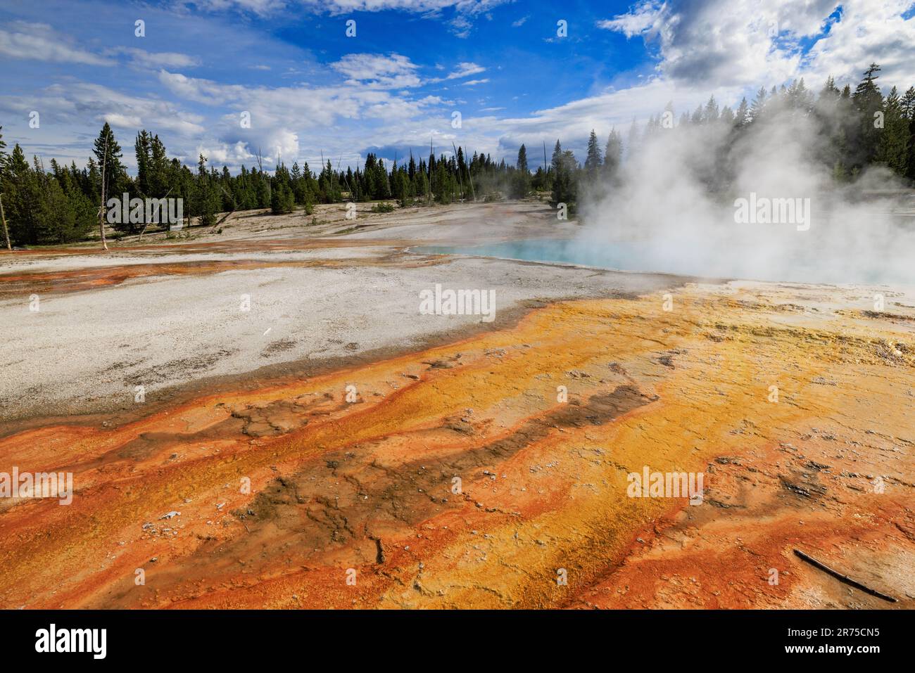 Dampf steigt aus dem „Black Pool“ mit leuchtenden Farben im Vordergrund, West Thumb Geyser Basin, Yellowstone National Park, Teton County, WY, USA. Stockfoto