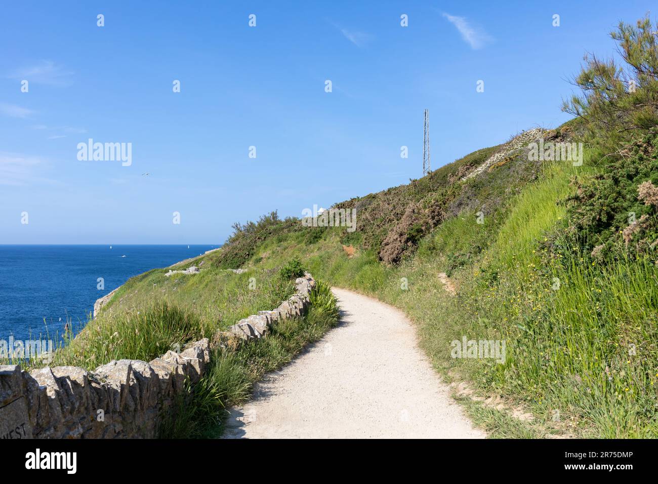Küstenpfad in Richtung Anvil Point im Durlston Country Park, Dorset, Großbritannien Stockfoto