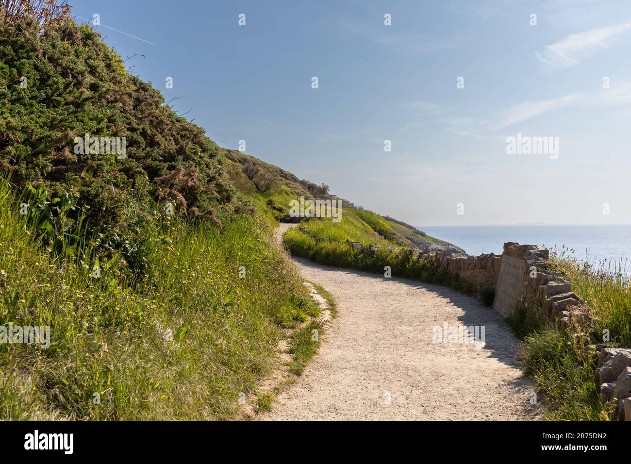 Küstenpfad im Durlston Country Park, Swanage, Dorset, Großbritannien Stockfoto