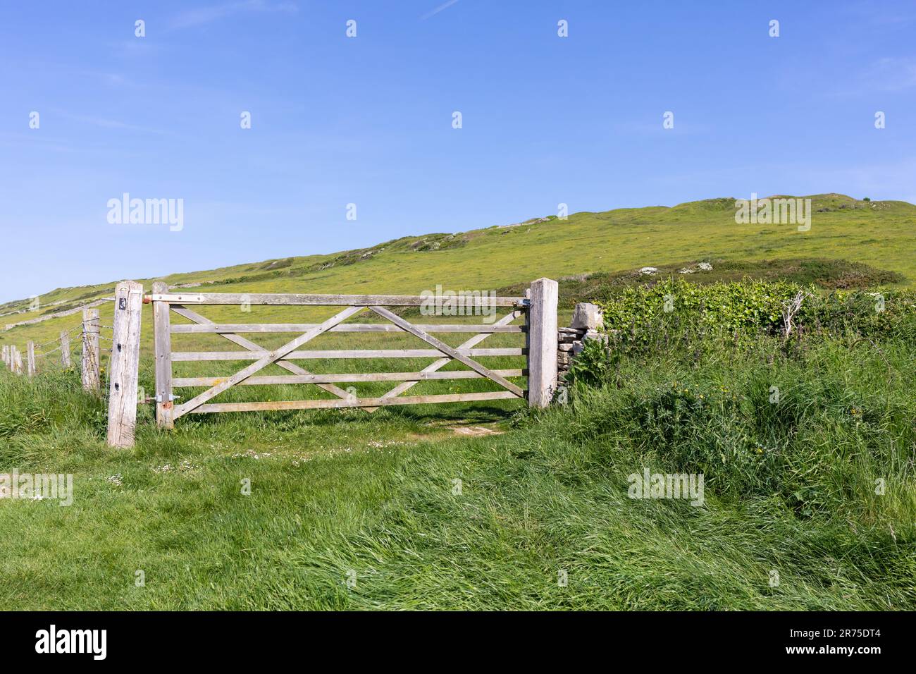 Ein Holztor in Anvil Point, Durlston Country Park, Dorset, Großbritannien Stockfoto