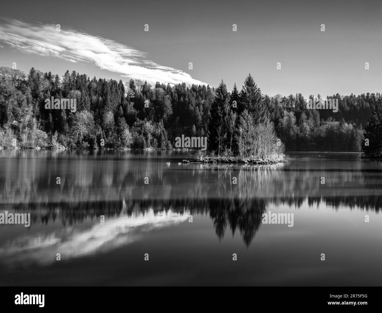 Wintertag am Lech-Damm 8 (Sperber) in der Nähe von Hohenfurch Stockfoto