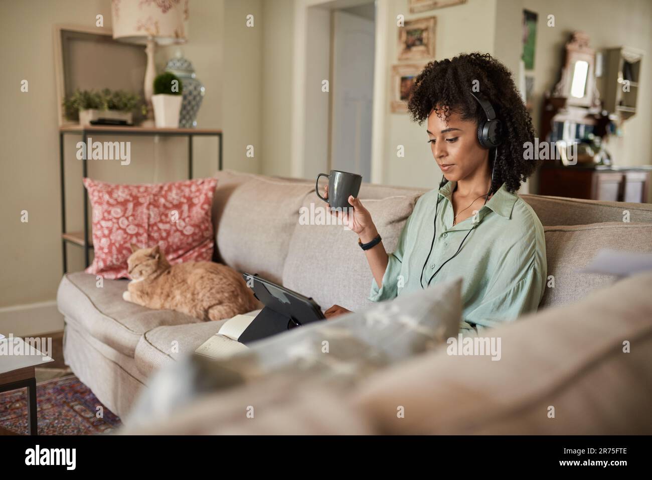 Frau, die ein Tablet benutzt, während sie zu Hause mit ihrer Katze sitzt Stockfoto