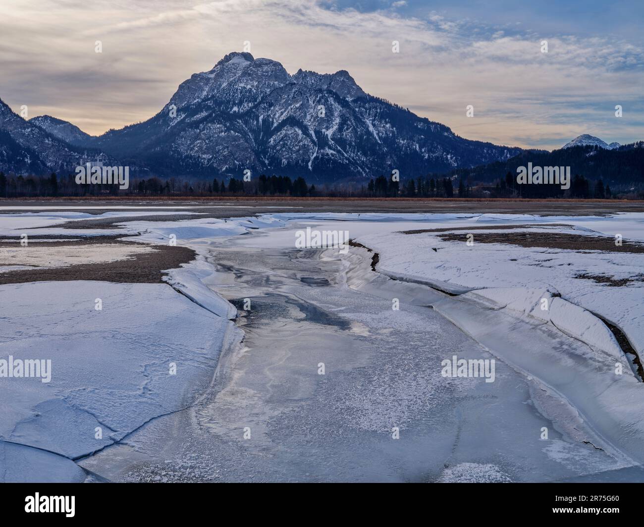 Winter am Fuße des Forggensees, Füssen Stockfoto