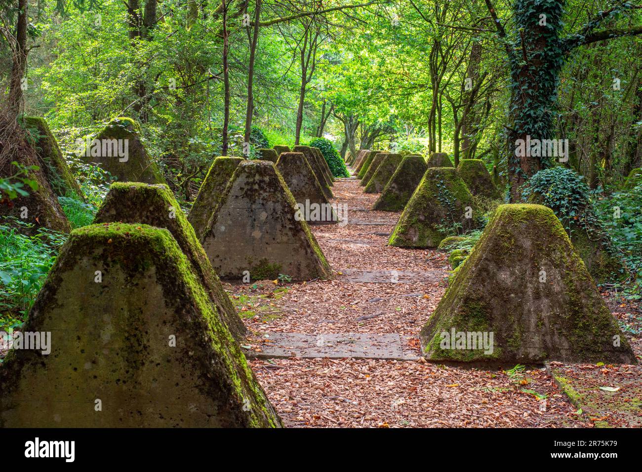 Wanderweg Höckerlinie, ehemalige gepanzerte Barrieren der Westwall in der Nähe von Mettlach-Orscholz, Mettlach, Saartal, Saarland, Deutschland Stockfoto