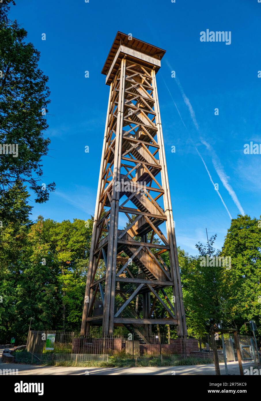 Goetheturm im Stadtwald Sachsenhausen, Frankfurt am Main, Hessen Stockfoto