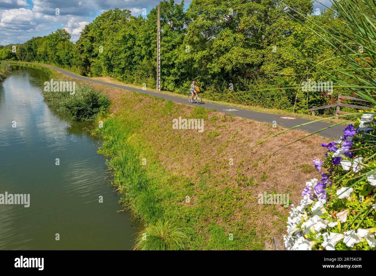 Saar Canal, Canal des Houillères de la Sarre, Saar Cycle Route Saargemünd-Saaralbe bei Remelfing, Saar, Grand Est, Moselle, Elsass-Champagne-Ardenne-Lorraine, Frankreich Stockfoto