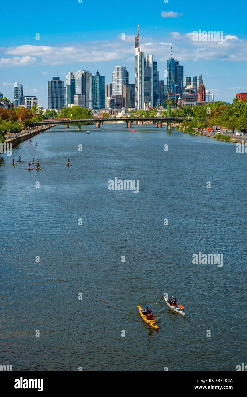 Wassersportler am Main vor der Skyline, Frankfurt am Main, Hessen, Deutschland Stockfoto