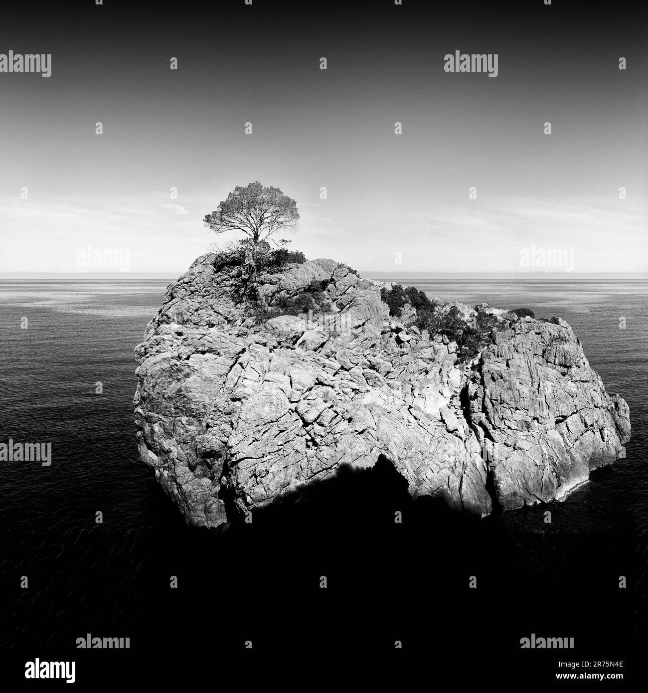 Einzelner Baum auf einem prominenten Felsen in der Bucht vor Sa Calobra auf Mallorca Stockfoto