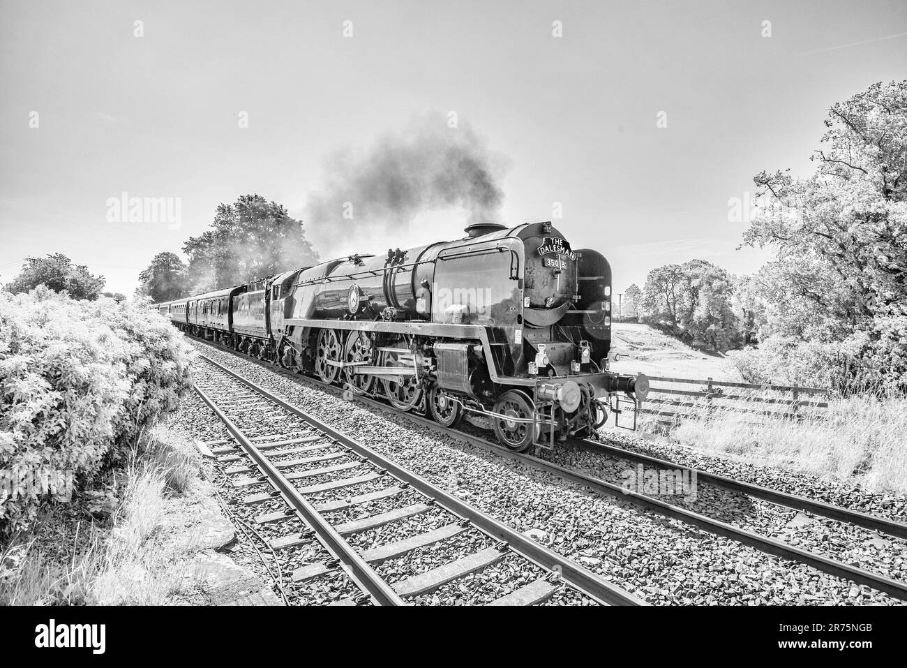 Die British India Line hat die Dampfeisenbahn als „Dalesman“ erhalten, die durch Long Preston mit WCR-Diesel 37706 hinten fährt. Stockfoto