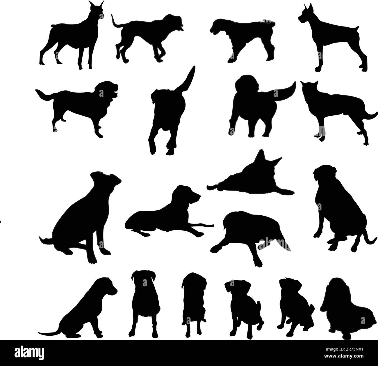 Hundekoillektion - Vektor Stock Vektor